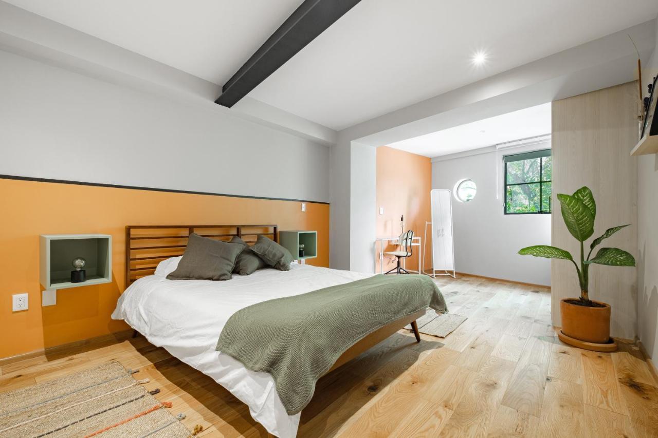 Modern Apartments La Condesa Pet Friendly Meksika Dış mekan fotoğraf