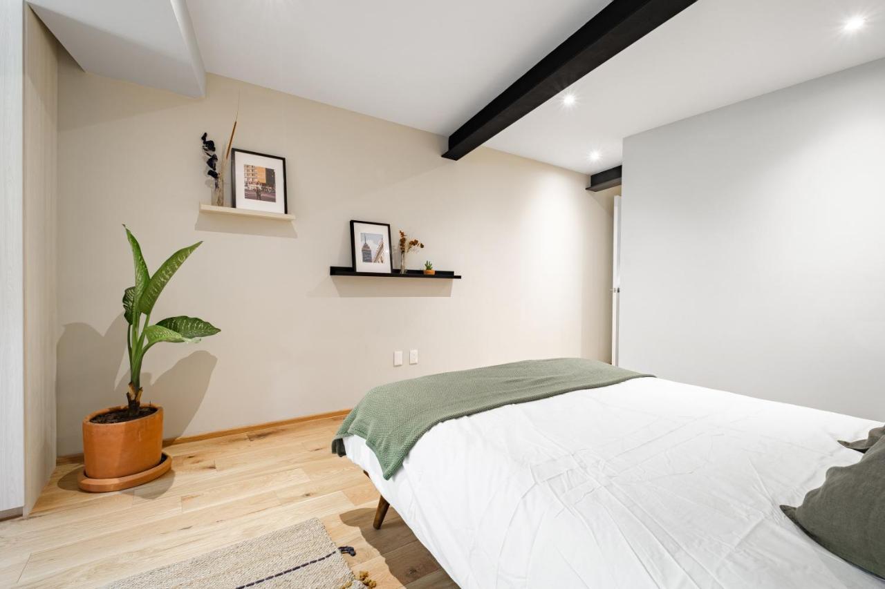 Modern Apartments La Condesa Pet Friendly Meksika Dış mekan fotoğraf
