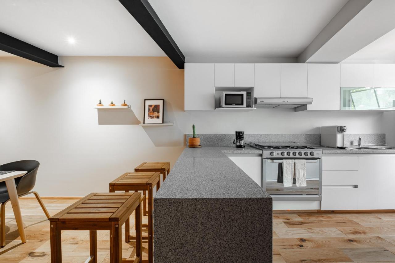 Modern Apartments La Condesa Pet Friendly Meksika Dış mekan fotoğraf