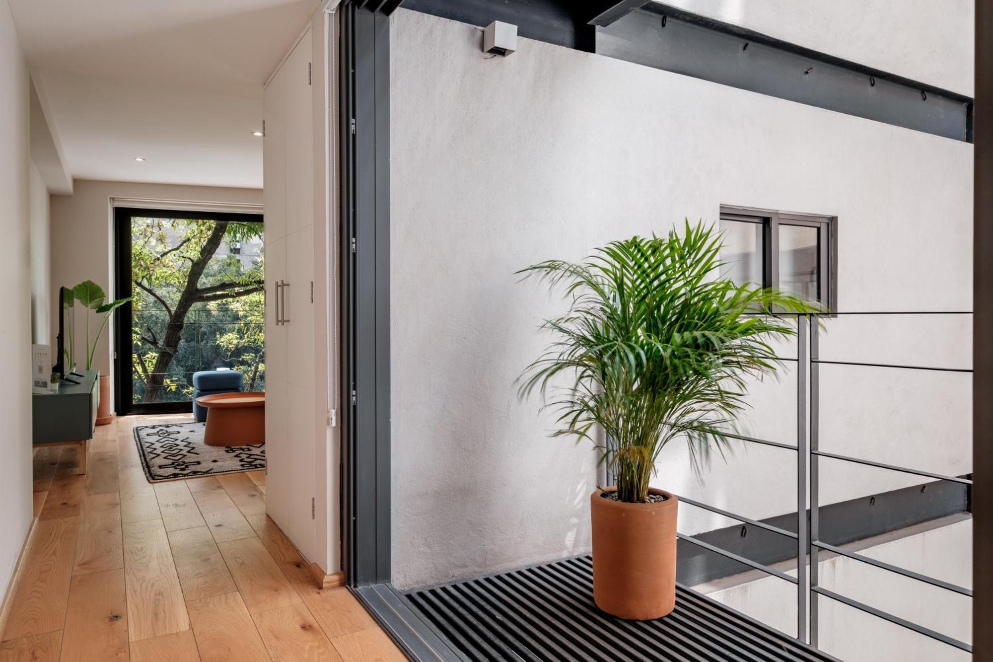 Modern Apartments La Condesa Pet Friendly Meksika Dış mekan fotoğraf