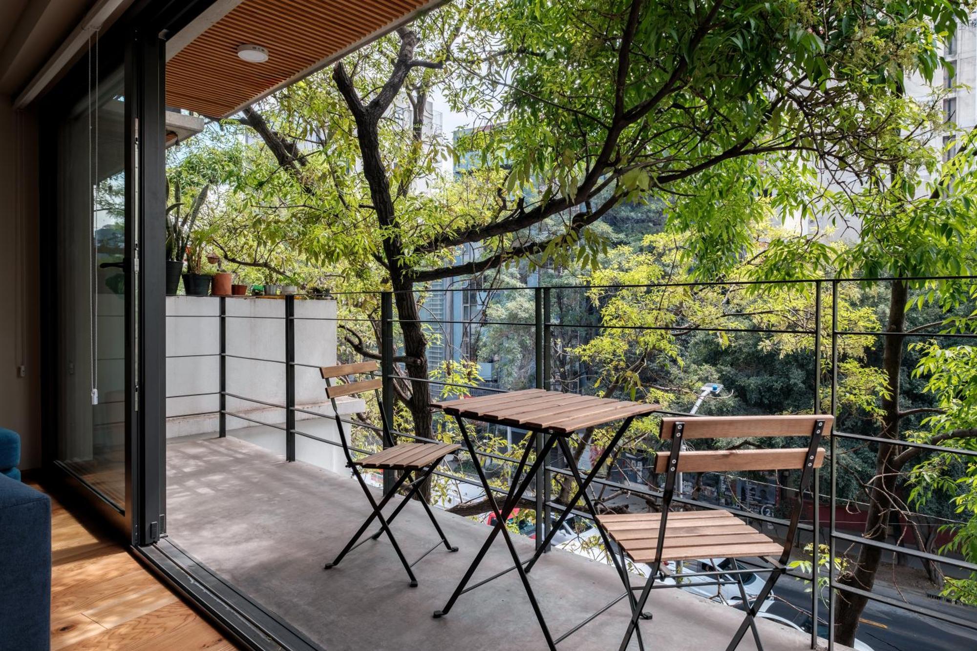 Modern Apartments La Condesa Pet Friendly Meksika Dış mekan fotoğraf