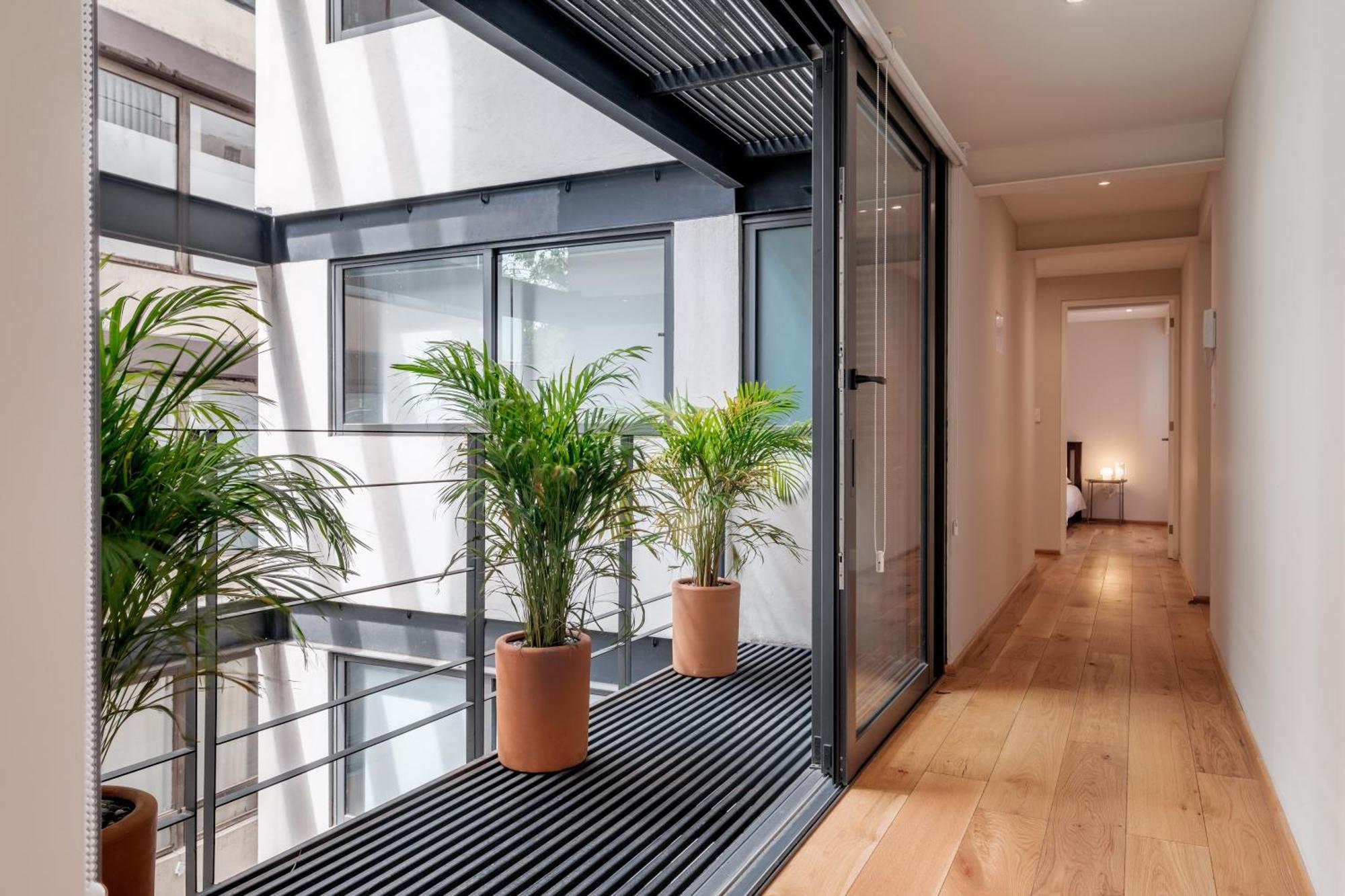 Modern Apartments La Condesa Pet Friendly Meksika Dış mekan fotoğraf